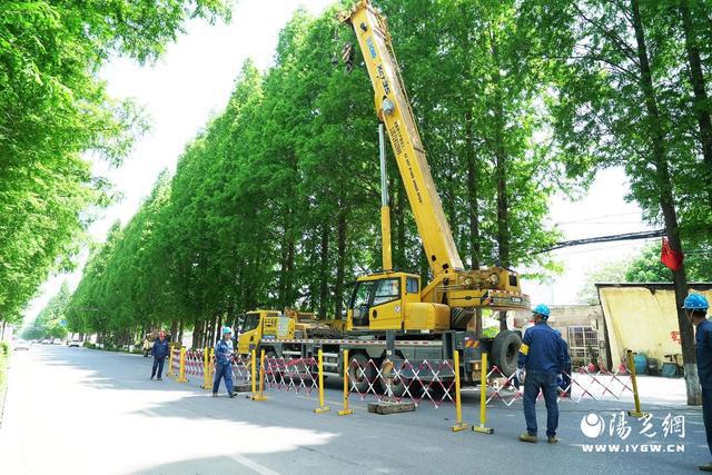 现中压发电车两车并网供电凯发首页鄠邑供电首次实